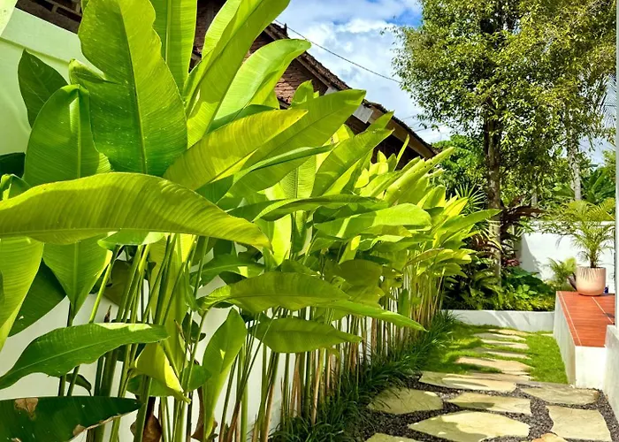 Casa De Made - * Jembrana